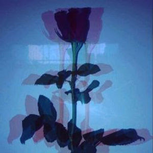 Meet your Posher, Bricelda